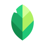 Snapseed - Photo Editor